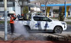 Elazığ ilaçlama çalışmaları başladı