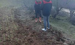 Elazığ'da tarla faresi sürvey çalışması