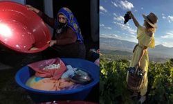 Erzincan Tulum Peyniri ve Cimin Üzümü dünya çapında tescillendi