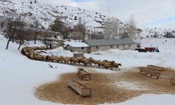 Erzincan'da çiftçilere kar ve tipi uyarısı