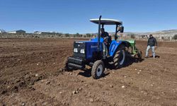 Gaziantep'te nohut ekimi başladı