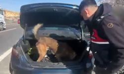 Gaziantep'te şüpheli araçta uyuşturucu ele geçirildi: 3 gözaltı