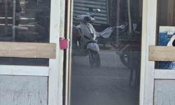 Gelibolu'da kumar oynatan işletmeye mühür, 8 kişiye ise 552 bin lira ceza