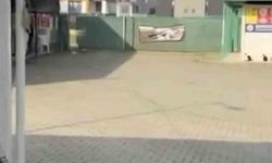 Gemlik Belediyesinin Umurbey'deki barınağını önünde toplanan hayvanseverler içeriye alınmadı