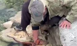 Görenler gözlerine inanamadı: Kayalıktaki dev ahtapotu elleriyle avladı