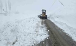 Hakkari'de 61 yerleşim yerinin yolu kapandı