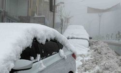 Hakkari'de kar yağışı yerini yoğun sise bıraktı