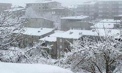 Hakkari'de karla karışık yağmur yağışı