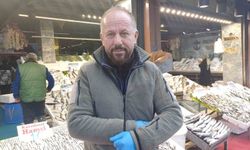 Hava soğudu hamsi geri döndü