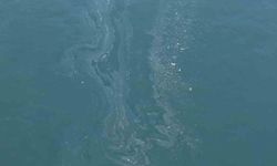 İzmir Körfezi'nde yine kirlilik tespit edildi