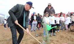 İzmir'de yangından etkilenen bölgelerde fidan dikimi yapıldı