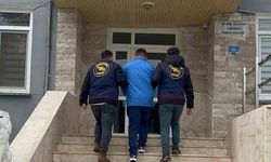 Jandarma sorumluluk bölgesinde bir ayda 123 tutuklama