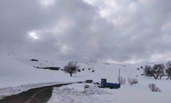 Kar yağışı Aşkale'de yeniden etkili oluyor