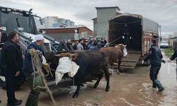 Karacabey Belediyesi doğal afetlere karşı tüm gücüyle sahada