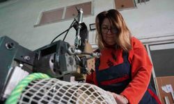 Karadeniz somonunun koruyucu ağlarına kadın eli