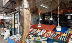 Karakaya Barajı'nda yakalanan 42 kiloluk turna balığı ilgi gördü