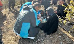 Karaman'da kaybolan yaşlı kadın 12 saat sonra sağ salim bulundu