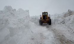 Karlıova'da karla mücadele sürüyor