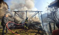 Kastamonu'da çıkan yangında samanlık kullanılamaz hale geldi