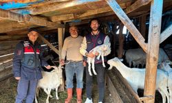 Kaybolan 50 küçükbaş hayvan dron destekli aramayla bulundu