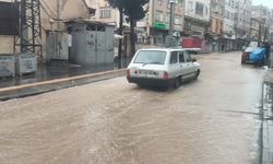 Kilis'te kuvvetli yağış ve sis etkili oldu