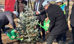 Kırklareli'nde 3 bin 750 fidan dikildi