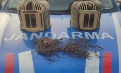 Kırşehir'de kaçak keklik avcıları yakalandı