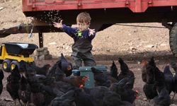 Kocaeli'de çiftçinin yüzünü güldüren destekler rakamlara yansıdı