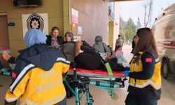 Kontrolü kaybeden kamyonet yoldan çıktı