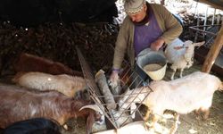 Korkuteli'nde yem ezme ve kırma makinesi üreticiye kolaylık sağlıyor