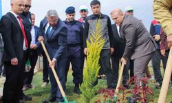 Köşk'te fidanlar toprakla buluştu