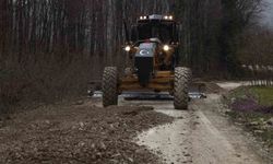 Köylerde yol bakım çalışmaları tamamlanıyor