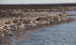 Kuruma tehlikesi yaşanan Tuz Gölü yeniden canlandı