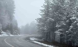 Kütahya'nın Domaniç Dağı'nda kar yağışı