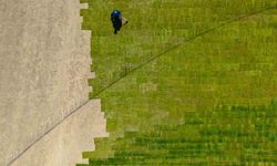 Lunapark gitti, yerine 'Zeytin sahne' geliyor