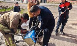 Mahsur kalan köpeklerin yardımına itfaiye yetişti
