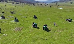 Manisa'da meralara 8,5 tonluk bereket