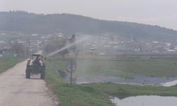 Manyas'ta sivrisinek ile mücadele seferberliği