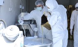 Mardin Büyükşehir Belediyesi'nden üreticilere 10 ton arı keki dağıtımı