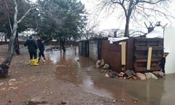 Mardin'de su basan kümeste 5 tavuk telef oldu