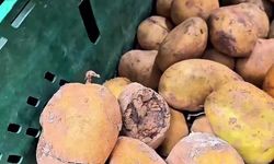 Market raflarında tarihi geçmiş tavuk ve içecek alarmı