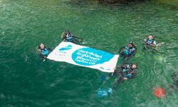 Marmara'nın derinliklerindeki 'Hayalet Ağ' tehdidine sanat dokunuşu: Çıkarılan ağlar sanat eserine dönüştü