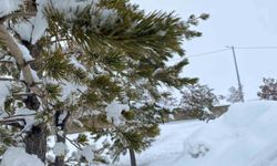 Mart ayında Ağrı'da kar yağışı etkili oldu