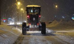 Mart geldi ama Bitlis'te kış bitmedi