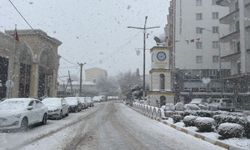 Mazıdağı'nda mart ayında kar yağışı etkili oldu