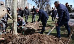 Melikgazi'de ilkbahar ağaç dikimiyle başladı