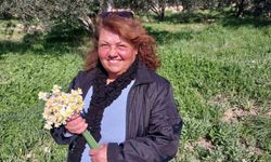 Mersin'de baharı yaşatan nergis çiçekleri gelir kaynağı oldu