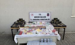 Mersin'de sigara kaçakçılığıyla mücadele 1 şüpheli yakalandı