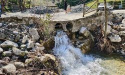 Mesir Tabiat Parkı'na ziyaretçi akını