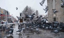 Meteorolojiden çığ, don ve buzlanma uyarısı